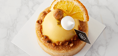 ����������Ÿ��Ʈ�̹���